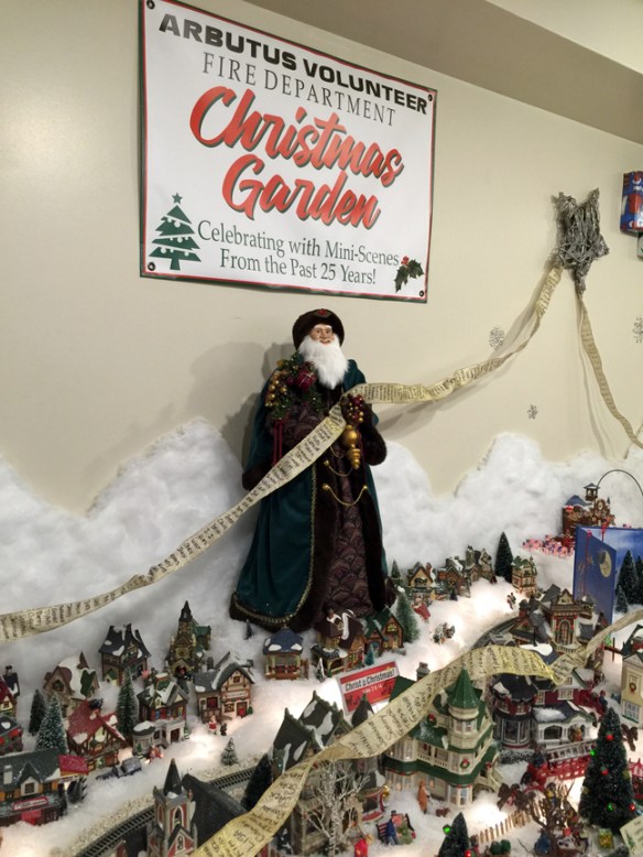 IMG_0721 arbutus christmas garden